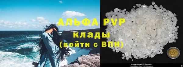 гашик Няндома