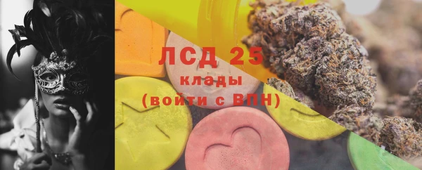 трава Осинники