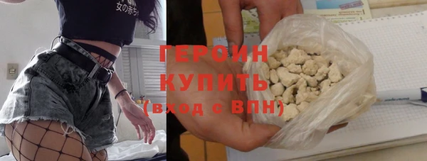 гашик Няндома
