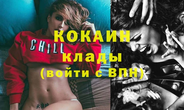 гашик Няндома