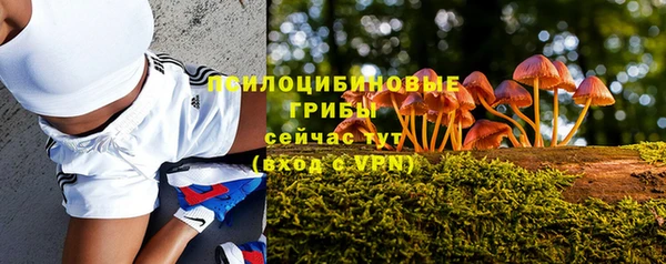трава Осинники