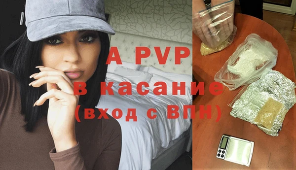 гашик Няндома