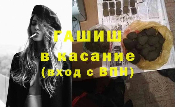 гашик Няндома