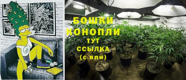 spice Нязепетровск