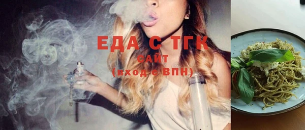гашик Няндома