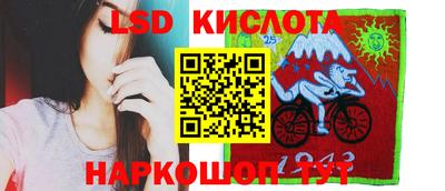 крисы Абакан