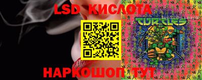 PSILOCYBIN Бугуруслан