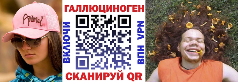blacksprut онион  Зеленокумск  Псилоцибиновые грибы Psilocybine cubensis 