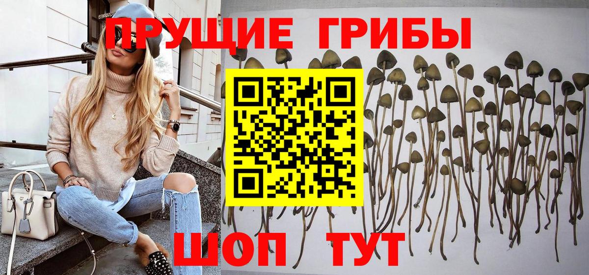 Псилоцибиновые грибы MAGIC MUSHROOMS Зеленокумск