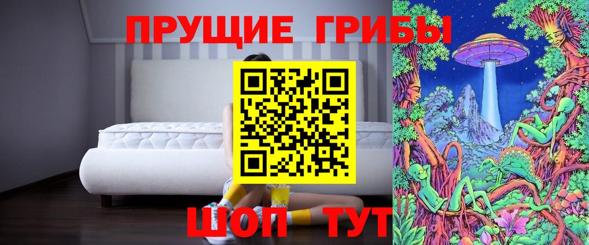 Зеленокумск  Галлюциногенные грибы Psilocybine cubensis  купить наркотики цена  Вход с VPN 