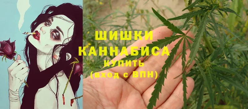 Каннабис OG Kush  Зеленокумск 